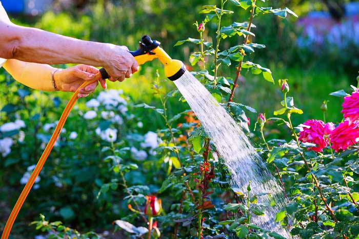 Einfache Gartenbewässerung – warum ein Schlauchaufroller das Leben leichter macht