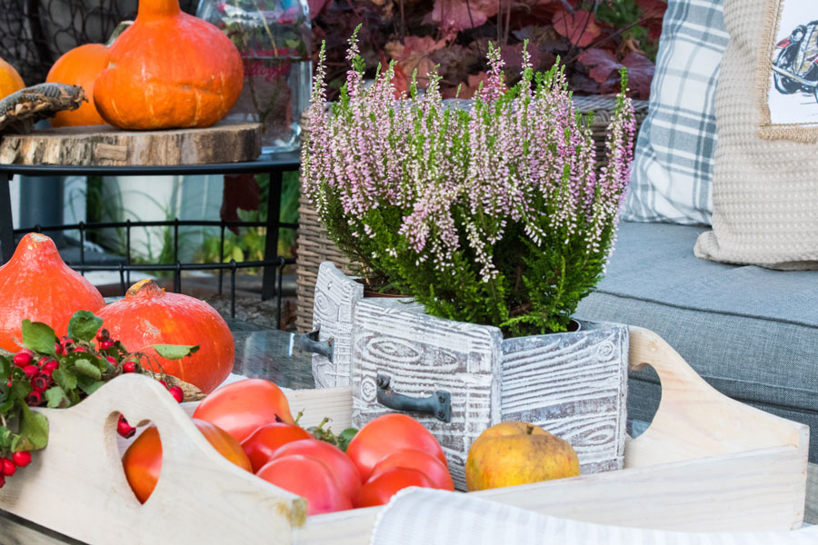 herbstdeko-terrasse